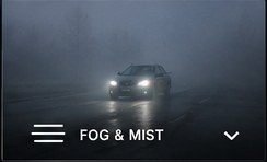 Fog