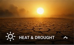 Drought